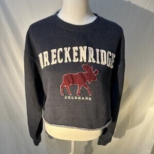 Blue84 Cropped Breckenridge Sweatshirt Women M Layer Boxy Fit Dark Gray Pullover